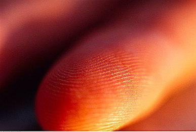 《极限竞速：地平线5》新增敞篷车及野生动物