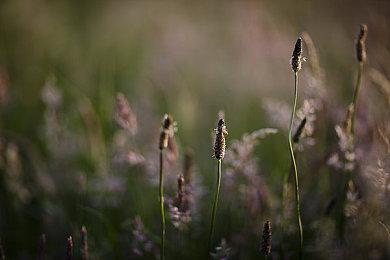 世嘉与杰尼斯就上线Steam产生分歧 《审判之眼：湮灭的记忆》或成系列最终作